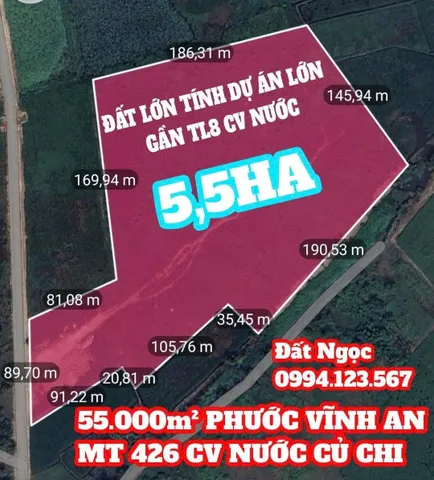 Bán đất 56000m² ngang 50m giá 175 tỷ Xã Củ Chi
