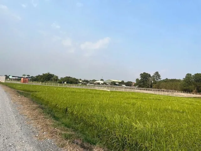🛑 ĐẤTLỚN.COM giới thiệu: KẸT QUÁ BÁN LÔ ĐẤT GIÁ RẺ CỦ CHI NGAY PHƯỚC VĨNH AN 4000m quy hoạch dân cư đường oto chỉ 2tr 1m2