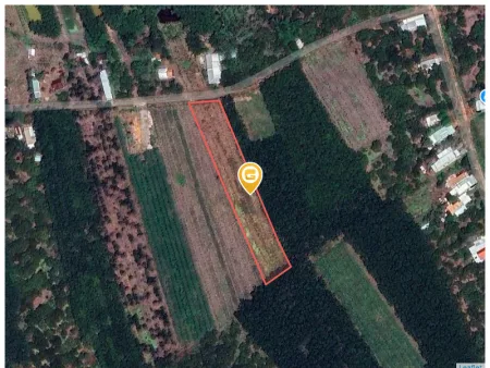 Bán đất 4944.5m² giá 500 triệu Xã Tân Lợi