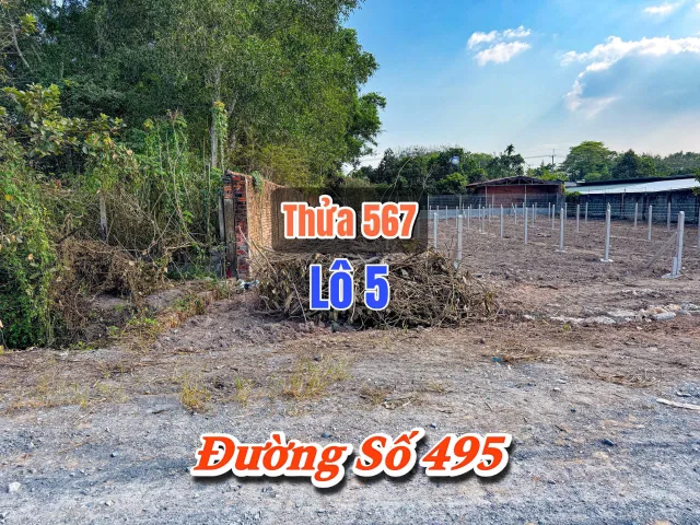 Bán đất Củ Chi, lô đất MT đường số 495, dt 204m2, full thổ cư, xã Phạm Văn Cội.