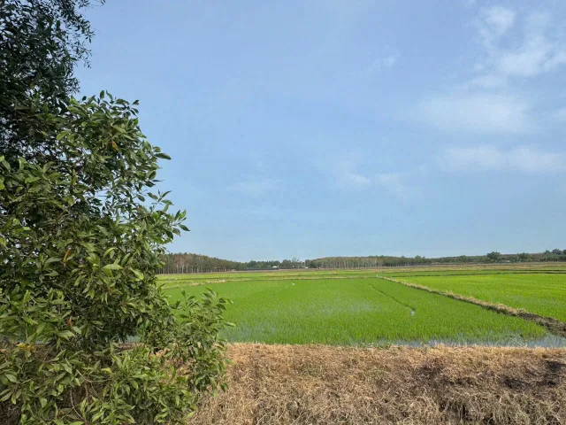 (S817) Đất xã An Nhơn Tây, dt 1.322m2, giá bán nhanh 690tr
