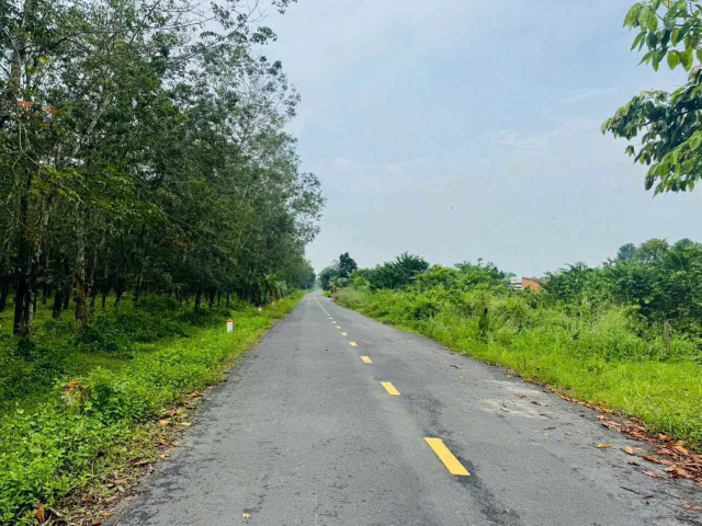 Bán đất mặt tiền Đường 492, DT 242m2 có 120m2 thổ cư, Xã Phạm Văn Cội