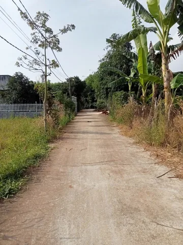 Bán đất 955.7m² ngang 33m giá 2.6 tỷ Xã Xuyên Mộc