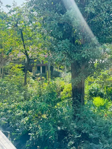 1/ Nguyễn Văn Quá - 44m2 - 2 tầng