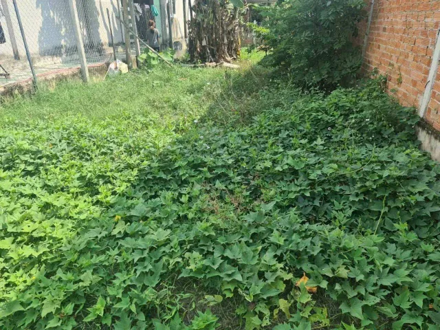 1 tỷ sang tên hơn 179m2 đất mặt đường ô tô, khu dân cư Tỉnh lộ 7, CỦ CHi
