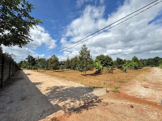 Bán đất 242m² ngang 5.9m giá 650 triệu Xã Quảng Phú
