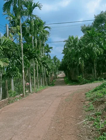 Bán đất 120.6m² ngang 5m giá 780 triệu Xã Ea Ktur