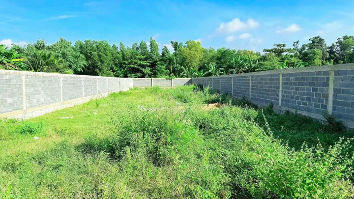 Bán đất 1067.2m² ngang 12.4m giá 2.75 tỷ Xã Phước Hải