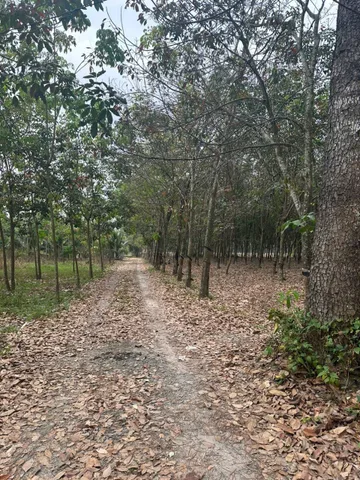 Bán Đất 21794m2 giá 20.5 tỷ tại Phường Vĩnh Tân TP. Hồ Chí Minh