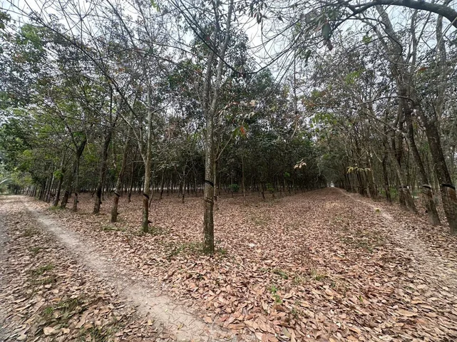 Bán Đất 21794m2 giá 20.5 tỷ tại Phường Vĩnh Tân TP. Hồ Chí Minh