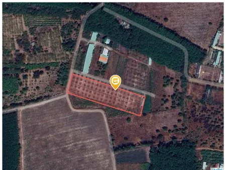 Bán đất 6040.5m² ngang 75m giá 8 tỷ Xã Trừ Văn Thố