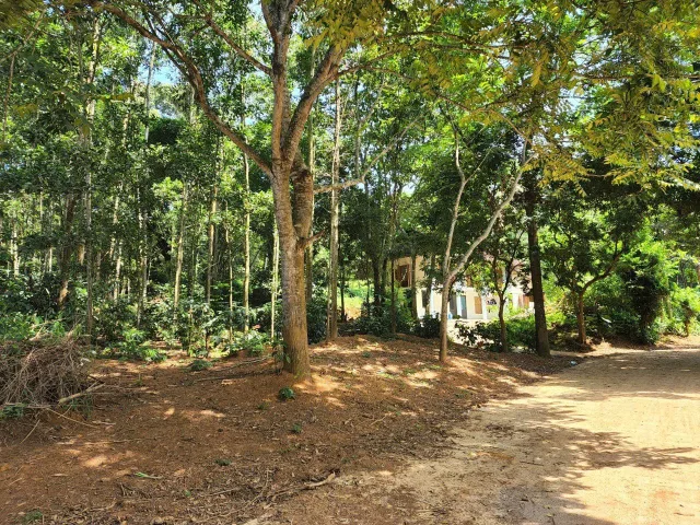 bán rẻ bán gấp trước tết 1000m tc view hồ lạc sơn Hòa Bình chính chủ giá nào cũng bán