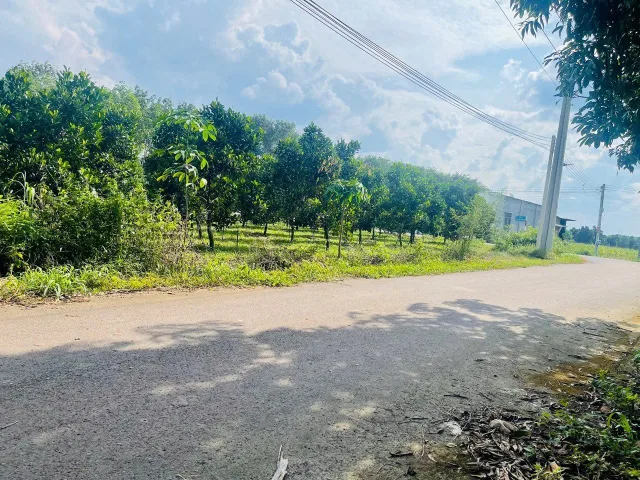 Bán đất 1412.3m² ngang 20m giá 2.25 tỷ Xã Phước Thành