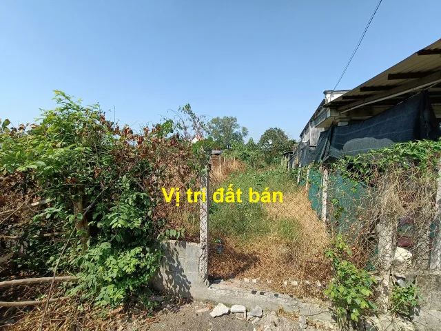 Bán đất mặt tiền đường Lý Thị Xâm, Trung Tâm Xã Tân Thạnh Đông, Củ Chi, 226m² (5x45m), giá bán 4.5 tỷ