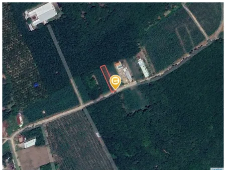 Bán đất 574m² Xã An Long