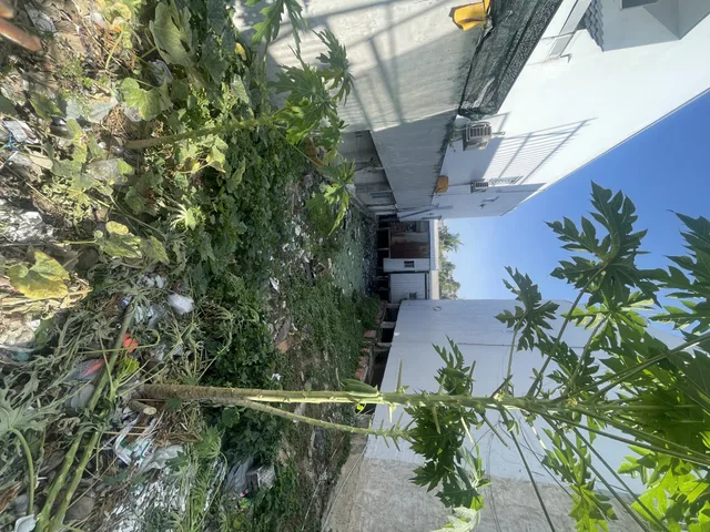 Bán đất 162.5m² ngang 7m giá 5 tỷ Phường Châu Đốc