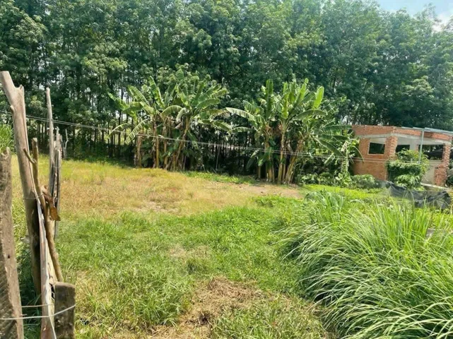 Bán đất đường nhựa 1/Trung Lập xã Trung Lập Thượng Củ Chi TPHCM, DT: 20,5x31m.