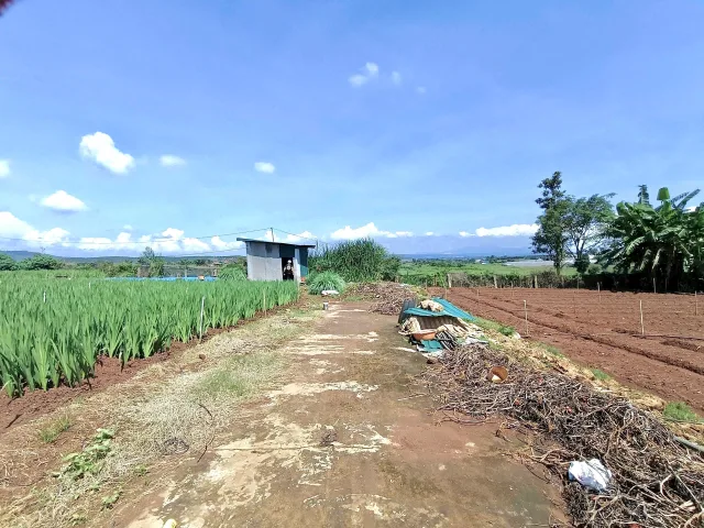 Khu hành chính Đức Trọng - tổ 34. 380m2 thổ cư