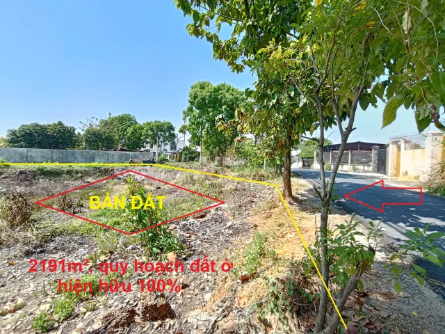 Bán Đất Mặt Tiền Đường NGuyễn Thị Bâu, Xã Tân Phú Trung Củ Chi - 2.191m², QH Đất Ở Hiện Hữu 100%, Tiềm Năng Phân Lô