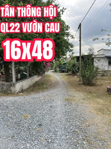 🔴Bán đất Bàu Sim,Tân Thông Hội, Củ Chi 770m² có 300m thổ cư vuông đẹp 16x48 sát QL22 chỉ nhỉnh 6ty