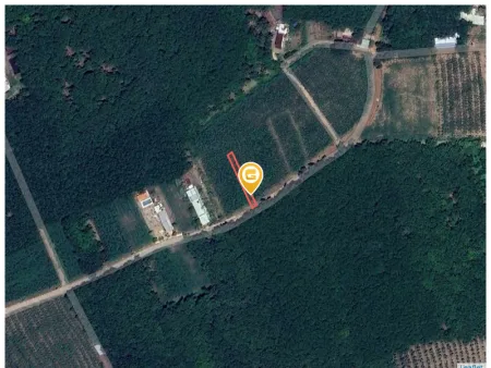 Bán đất 275.3m² Xã An Long
