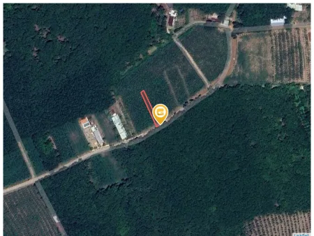 Bán đất 277m² Xã An Long