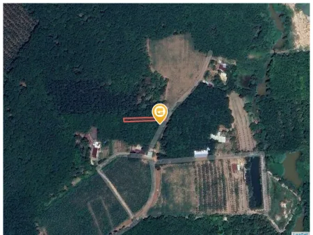 Bán đất 311.1m² Xã An Long
