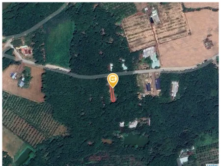 Bán đất 249.8m² Xã An Long