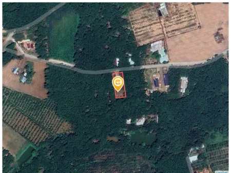 Bán đất 999.4m² Xã An Long