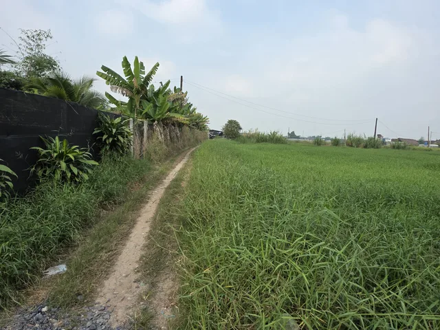 🟥Làm nhà vườn gần trung tâm Thành phố ko phải lên củ chi xa xôi Bán đất 3000m² giá Củ Chi ngay Xã Bà Điểm