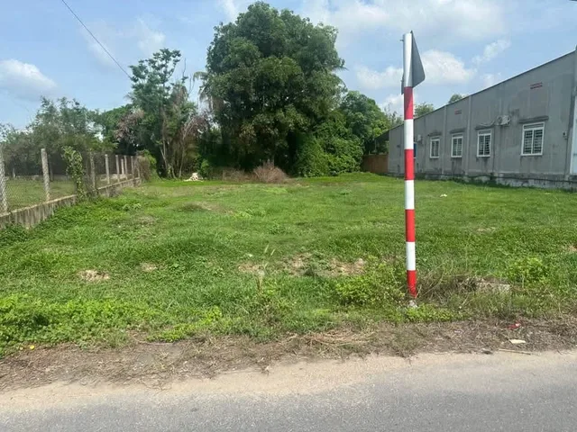 Bán đất mặt tiền kinh doanh đường Trung Hưng xã Trung Lập Thượng Củ Chi TPHCM, DT: 15x40m.