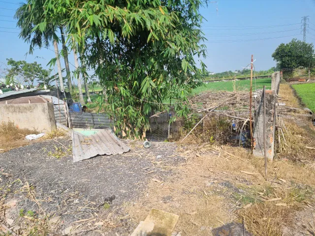 (B597) Đất xã Thái Mỹ, dt 1.005m2, thổ cư 300m2, giá 7 tỷ 500 thương lượng
