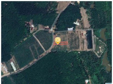 Bán đất 553.6m² Xã An Long