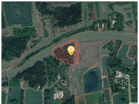 Bán đất 5100m² đất nông nghiệp giá 14.54 tỷ tại Ngô Quang Thắm xã Long Thới (cũ)