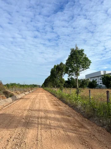 Bán đất 335.3m² đất vành đai kcn becamex đối diện cty xí nghiệp