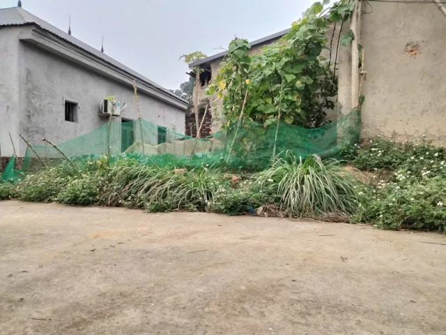 Bán đất 292.6m² có sẵn 50m² thổ cư ngang 5m giá 1.3 tỷ tại Phường Vân Phú