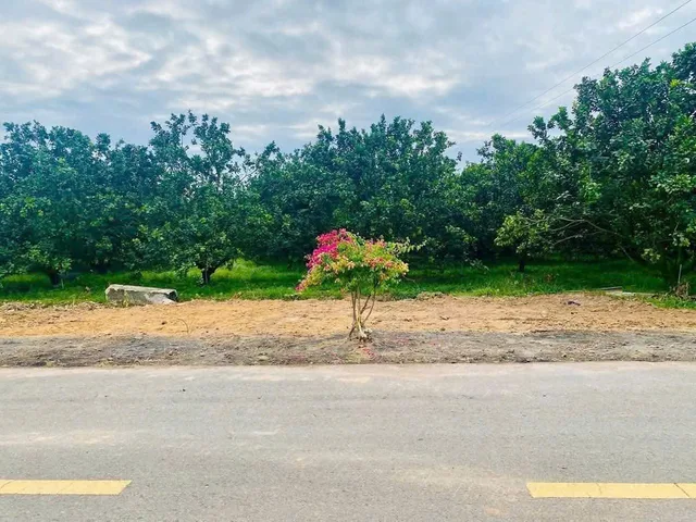 Bán đất 350m² có sẵn 100m² thổ cư ngang 6m giá 900 triệu tại Xã Trừ Văn Thố