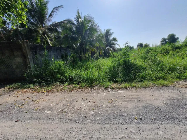 (B598) Đất xã Bình Mỹ, dt 4.045m2, thổ cư 3.948m2, giá 34 tỷ 500