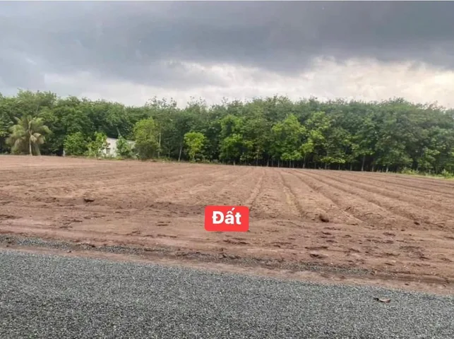 Bán đất 350m² có sẵn 100m² thổ cư ngang 60m giá 350 triệu tại Xã Tân Lợi