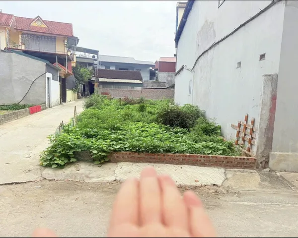 Bán nhanh 115m² full thổ cư ngang 6m giá chỉ 4.6 tỷ tại Tân Xã trung tâm Hoà Lạc