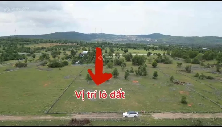 Bán 1000m2 có 300 thổ cư lô hai Trần Bình Trọng. LH: 0974090487