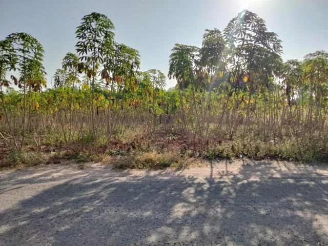 Bán đất 1000m² ngang 18.4m, đất nông nghiệp, giá 2.7 tỷ tại Phường Tân Thành Phú Mỹ