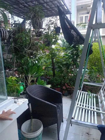 Bán nhà 93.6m² có sẵn 93.5m² thổ cư ngang 3.5m giá 11.5 tỷ tại Phường Vĩnh Nguyên Thành phố Nha Trang