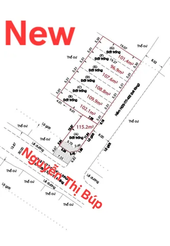 🟥Bán đất 160m² có sẵn 155m² thổ cư ngang 7,5m giá 10,8 tỷ tại Đường Nguyễn Thị Búp- Thới Tam Thôn 6 Xã Đông Thạnh Hóc Môn LH ngay Đất Ngọc