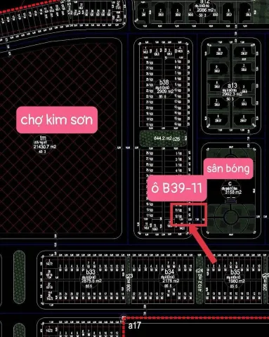 BT KIM SƠN KĐT KIM SƠN P. KIM SƠN TP. ĐÔNG TRIỀU QN