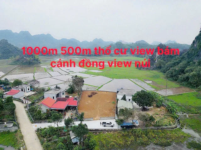 981m có 500m đất ở - bám cánh đồng view núi siêu đẹp - Cao Dương, Lương Sơn, Hoà Bình.