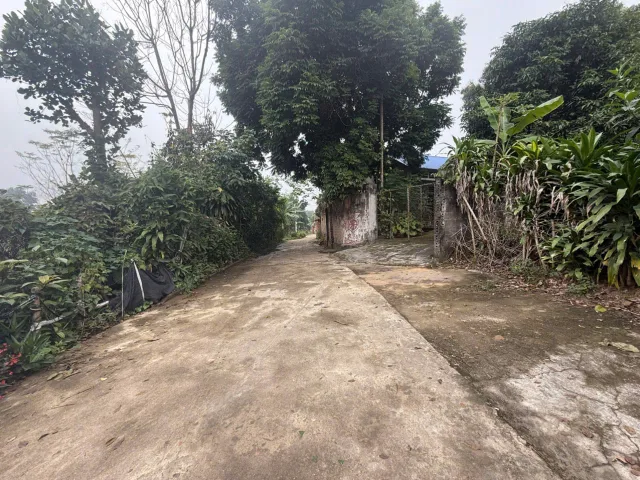 Bán đất 148.5m² có sẵn 80m² thổ cư ngang 5.14m giá 2.68 tỷ tại Phường Nông Trang