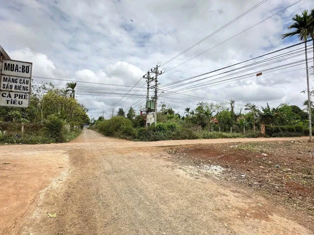Bán đất 199.7m² có sẵn 60m² thổ cư ngang 10m giá 1.15 tỷ tại Xã Cuôr Đăng 8/5