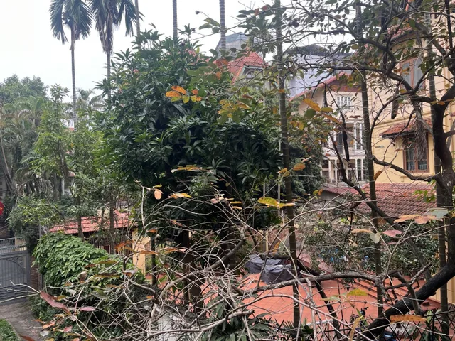 Bán nhà Tô Ngọc Vân 244m² full thổ cư ngang 8m giá 98 tỷ tại Phường Tây Hồ (MUA/BÁN BĐS nhắn tin Zalo 0862299066)