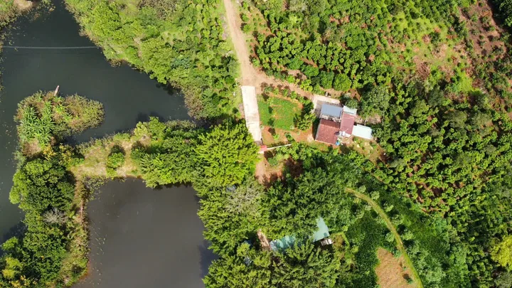 Bán đất 19000m² ngang 300m giá 38 tỷ tại Đường Tỉnh Lộ 2 Xã Ea Na